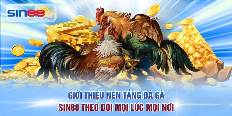 Giới thiệu nền tảng đá gà SIN88 theo dõi mọi lúc mọi nơi